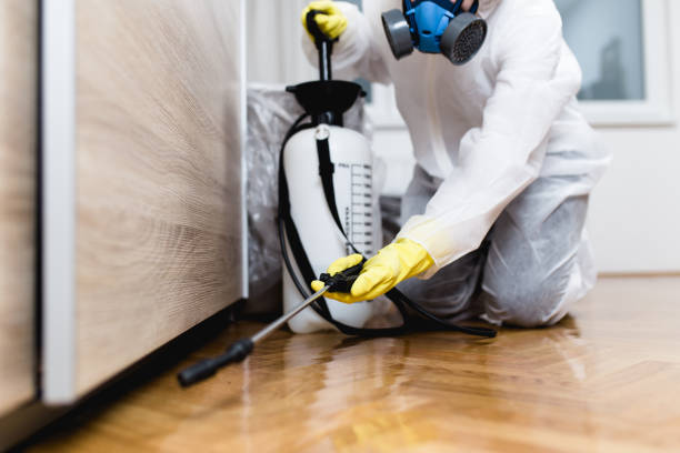 Best Mosquito Control Services  in Primera, TX