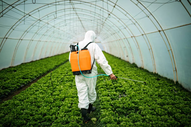 Best Pest Removal Services  in Primera, TX