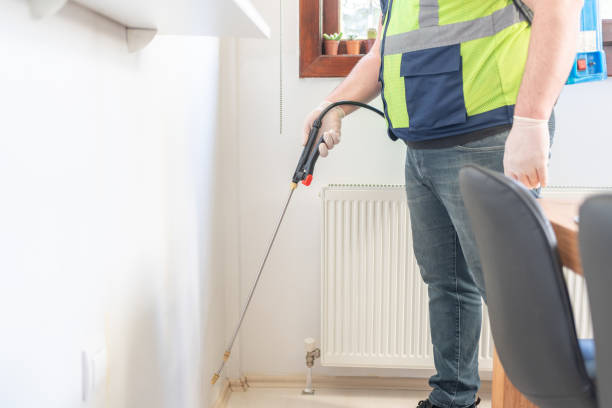 Best Emergency Pest Control  in Primera, TX