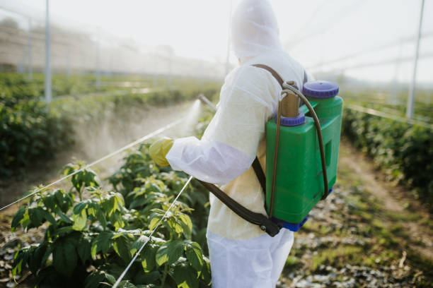Pest Control for Restaurants in Primera, TX